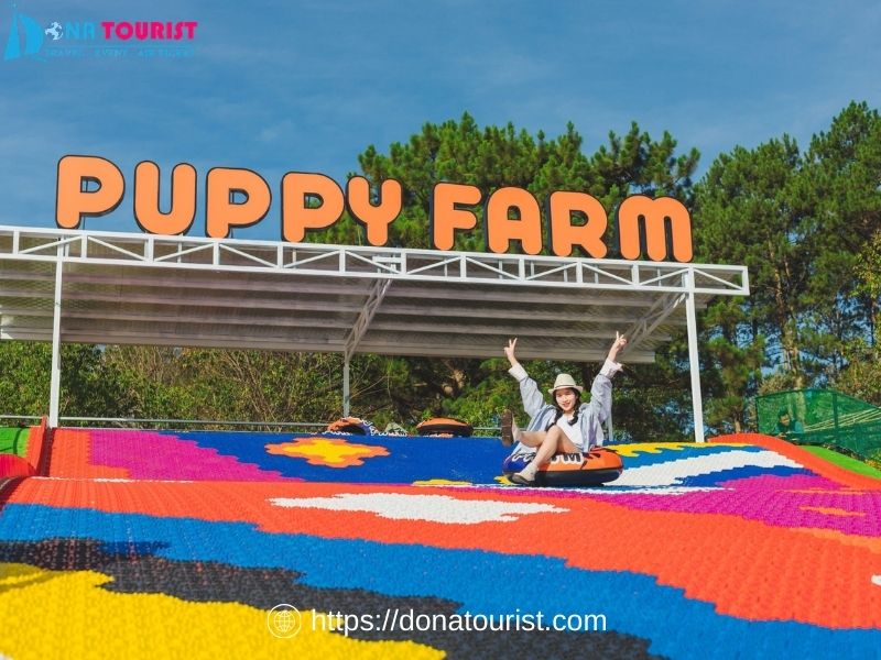 check-in-kdl-puppy-farm-khi-di-tour-da-lat
