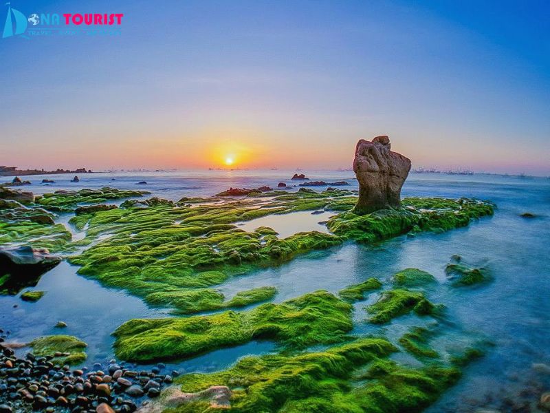dia-diem-check-in-bai-da-co-thach-khi-di-tour-mui-ne