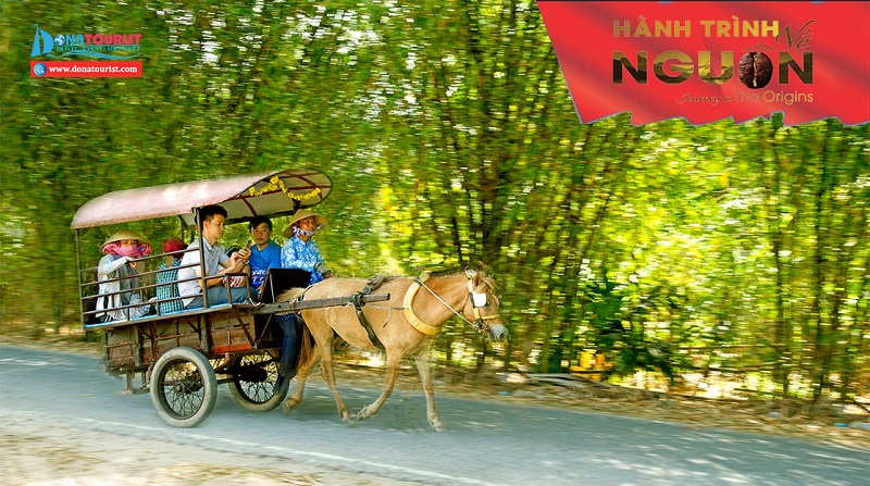 chuong-trinh-ve-nguon-rach-gam-xoai-mut-ben-tre-my-tho-1-ngay-gia-tot