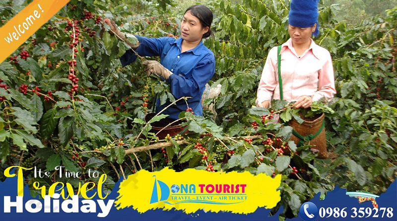 chuong-trinh-nha-trang-da-lat-4-ngay-4-dem-tour-ghep-ngay-thu-4