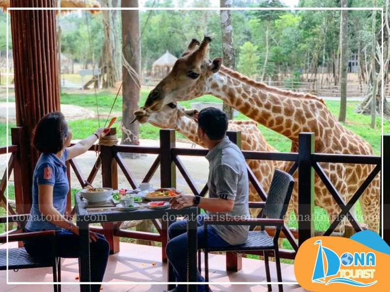 Thưởng thức những món ăn hấp dẫn tại các nhà hàng ở Vinpearl Safari