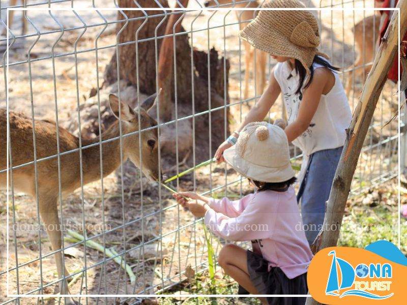 vuon-thu-mini-zoo-suoi-nuoc-nong-binh-chau.jpg (96 KB)