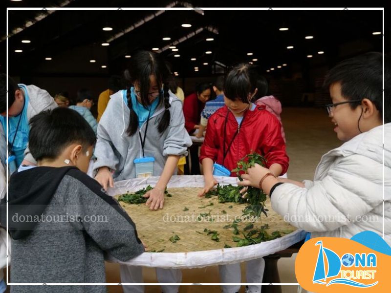 thoi-gian-check-in-bao-tang-tra-long-dinh.jpg (88 KB)