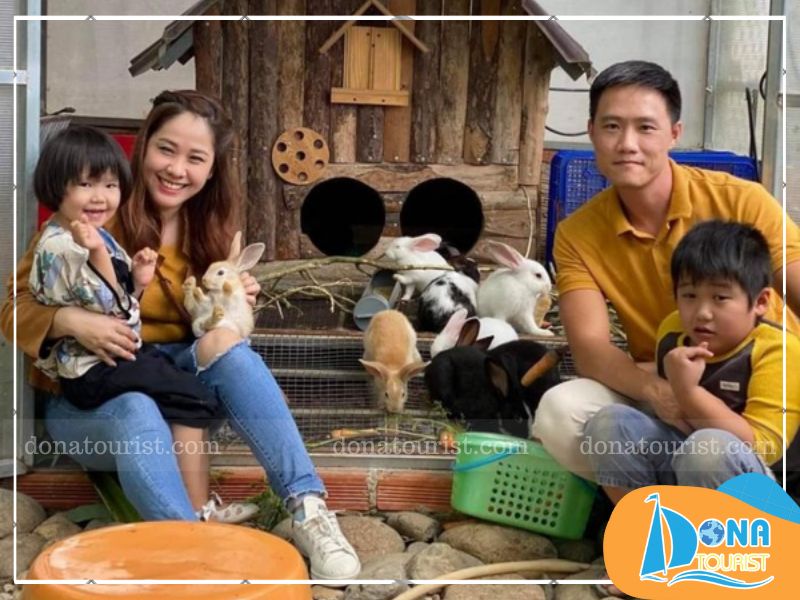 ca-phe-thu-cung-bunny-hill-farm-homestay.jpg (100 KB)