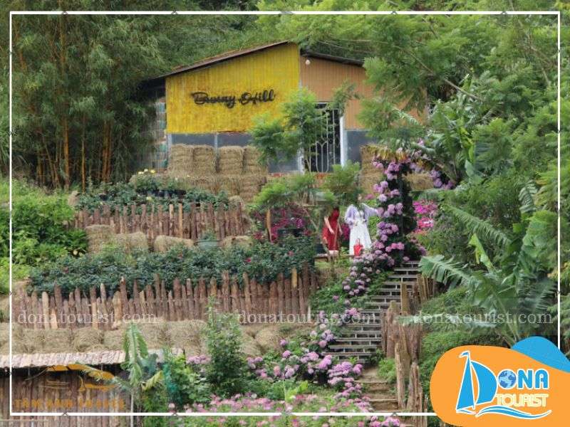 dinh-huong-phat-trien-bunny-hill-farm-homestay.jpg (96 KB)