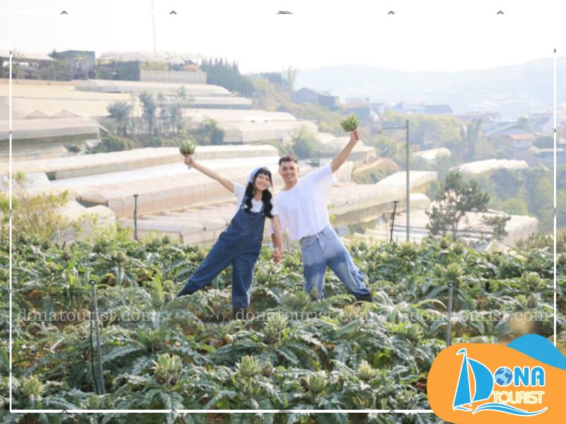 luu-y-khi-check-in-bunny-hill-farm-homestay.jpg (97 KB)