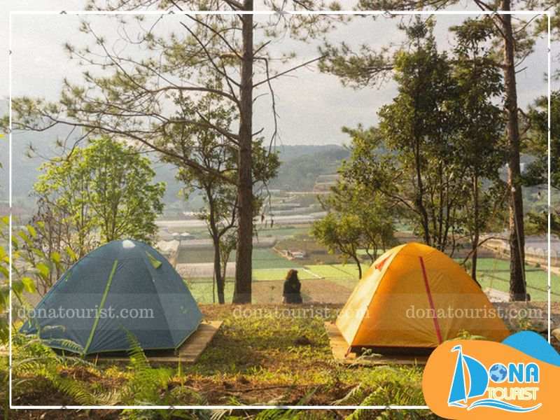 thon-lung-cam-trai-da-lat.jpg (76 KB)