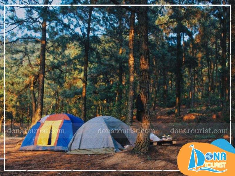 xa-lat-cam-trai-da-lat.jpg (97 KB)