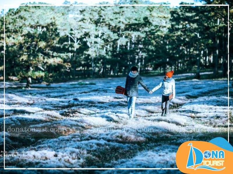 canh-dong-tuyet-thung-lung-khoi-xanh.jpg (102 KB)