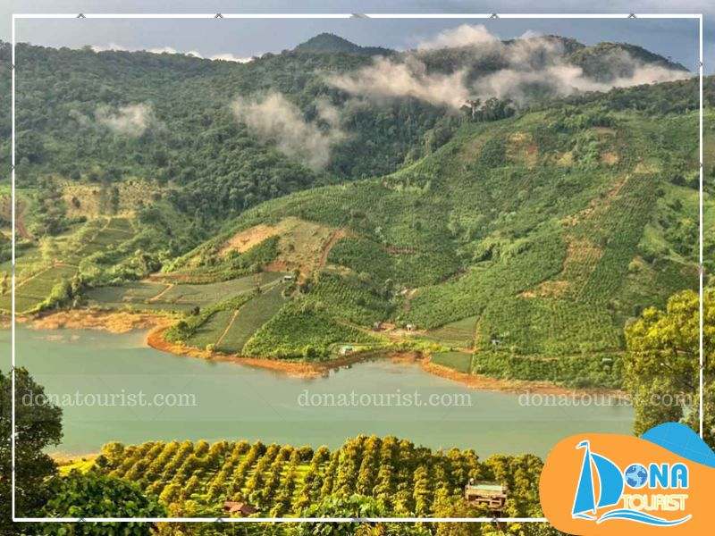 gioi-thieu-cao-nguyen-di-linh.jpg (95 KB)