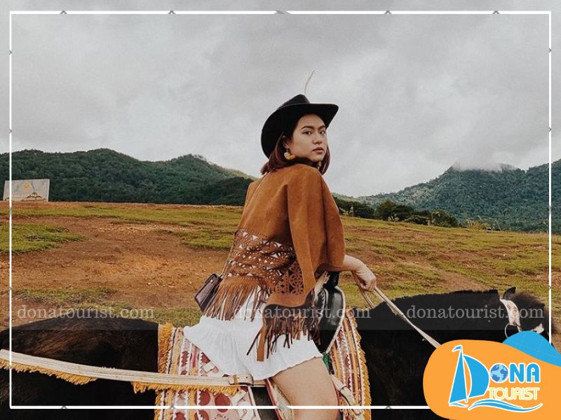 cuoi-ngua-thuong-thuc-ca-phe-cao-nguyen-lam-vien.jpg (96 KB)