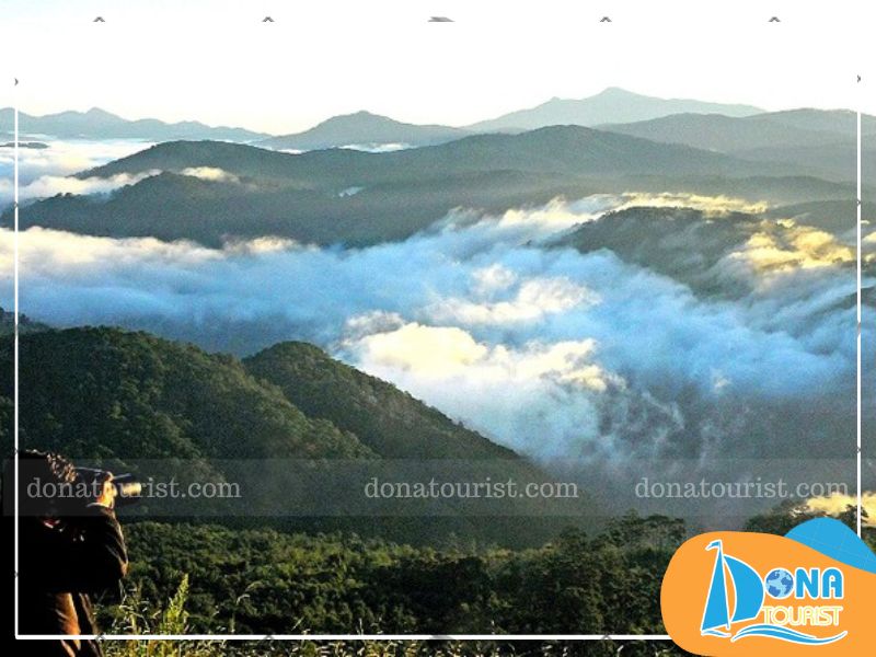 meo-tham-quan-cao-nguyen-lam-vien.jpg (87 KB)