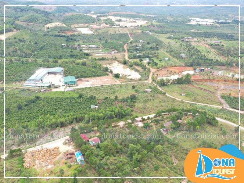 thoi-diem-du-lich-cao-nguyen-lam-vien.jpg (96 KB)