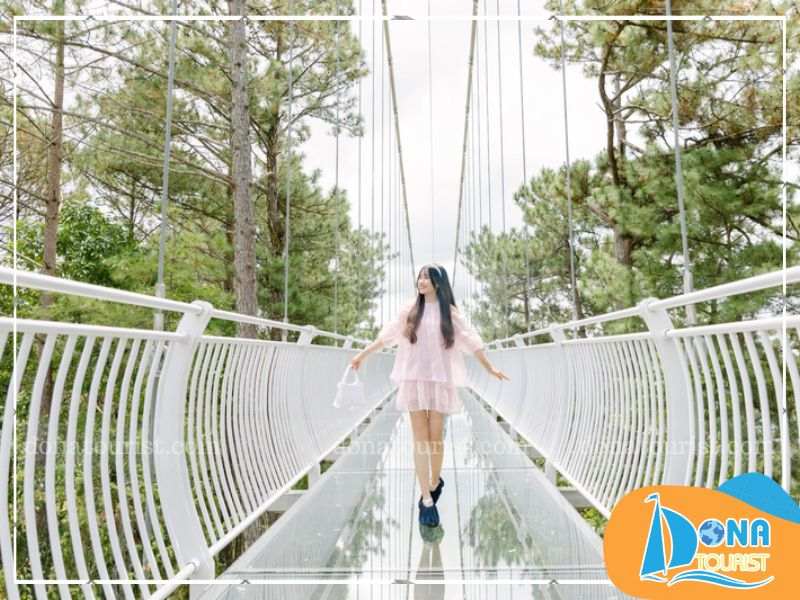 Cầu kính ngàn thông tại Đà Lạt là cây cầu kính lớn thứ tư tại Việt Nam gioi-thieu-cau-kinh-ngan-thong.jpg (80 KB)