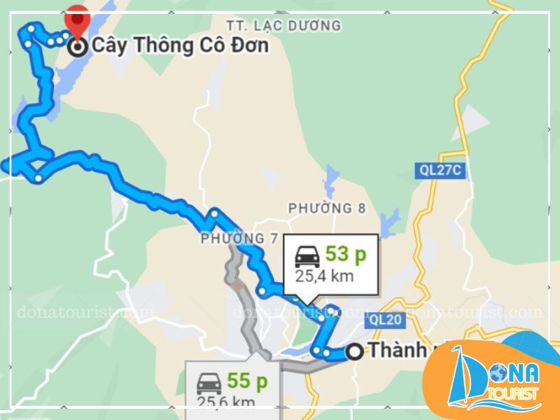 duong-di-cay-co-don-da-lat.jpg (61 KB)