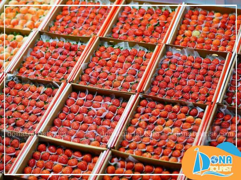 Các loại rau của và trái cây tươi trai-cay-tuoi-cho-dem-da-lat.jpg (91 KB)