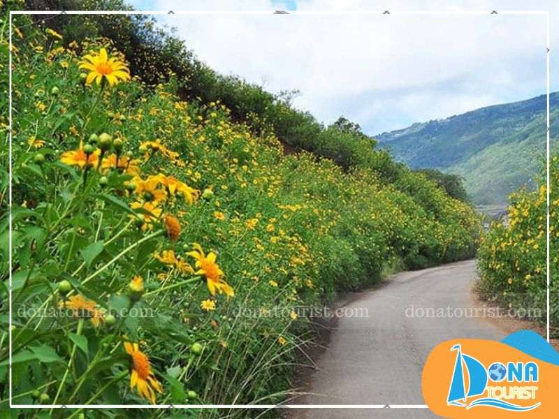 cung-duong-san-hoa-da-quy-cam-ly_.jpg (82 KB)