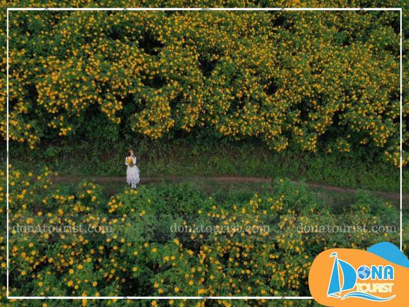 cung-duong-san-hoa-da-quy-cau-dat.jpg (75 KB)