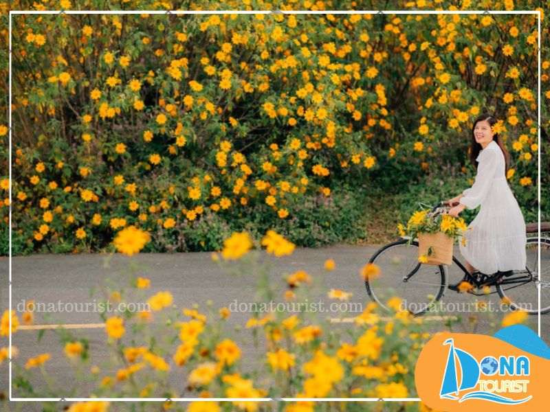 cung-duong-san-hoa-da-quy-da-lat-milk-farm.jpg (83 KB)