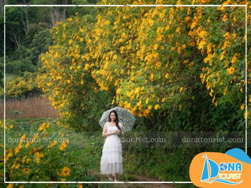 cung-duong-san-hoa-da-quy-deo-prenn.jpg (84 KB)