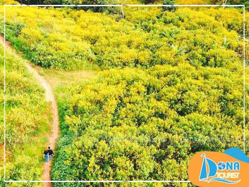 cung-duong-san-hoa-da-quy-gan-trung-tam-da-lat.jpg (99 KB)