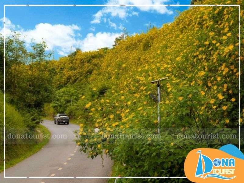 cung-duong-san-hoa-da-quy-quoc-lo-20.jpg (75 KB)