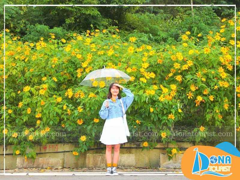 luu-y-khi-san-hoa-da-quy.jpg (78 KB)