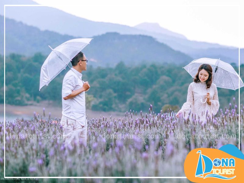 dia-diem-cau-hon-o-da-lat-canh-dong-hoa-lavender.jpg (78 KB)