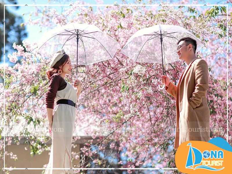 luu-y-check-in-diem-ngam-mua-hoa-mai-anh-dao.jpg (79 KB)