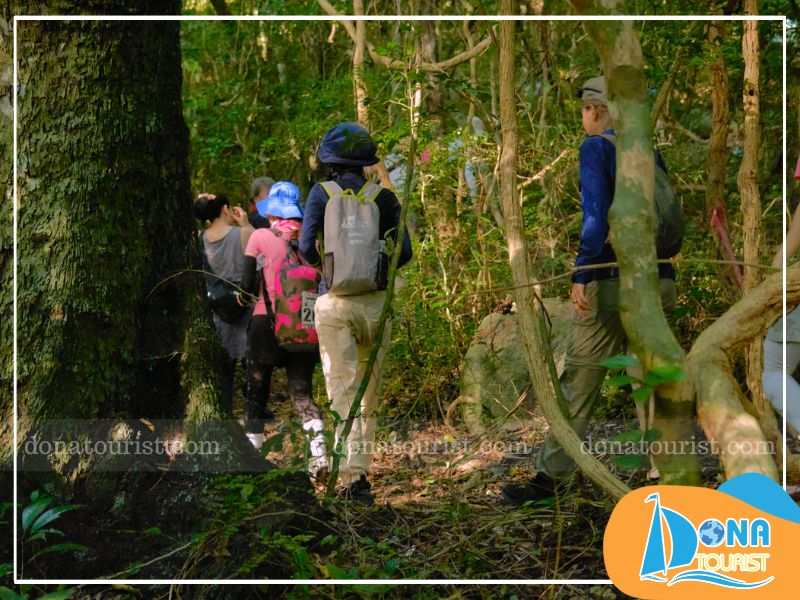 Trekking hòn Bồ chiêm ngưỡng vẻ đẹp thiên nhiên nên thơ và tráng lệ trekking-dinh-hon-bo.jpg (78 KB)