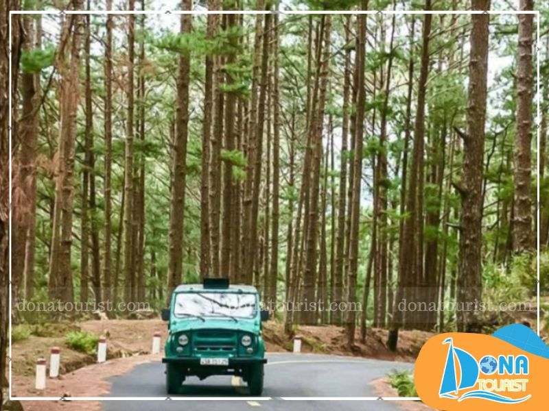 di-xe-jeep-len-dinh-rada.jpg (95 KB)