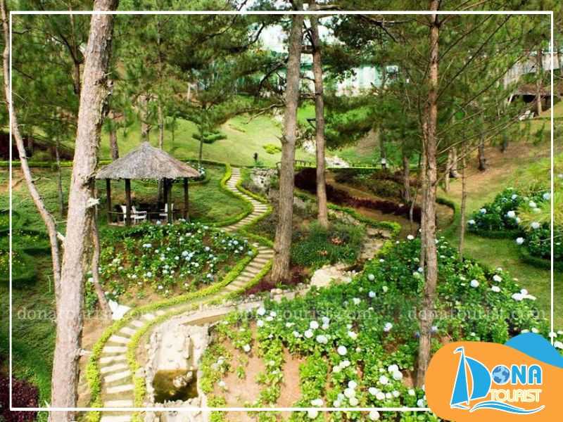 gioi-thieu-doi-mong-mo.jpg (92 KB)