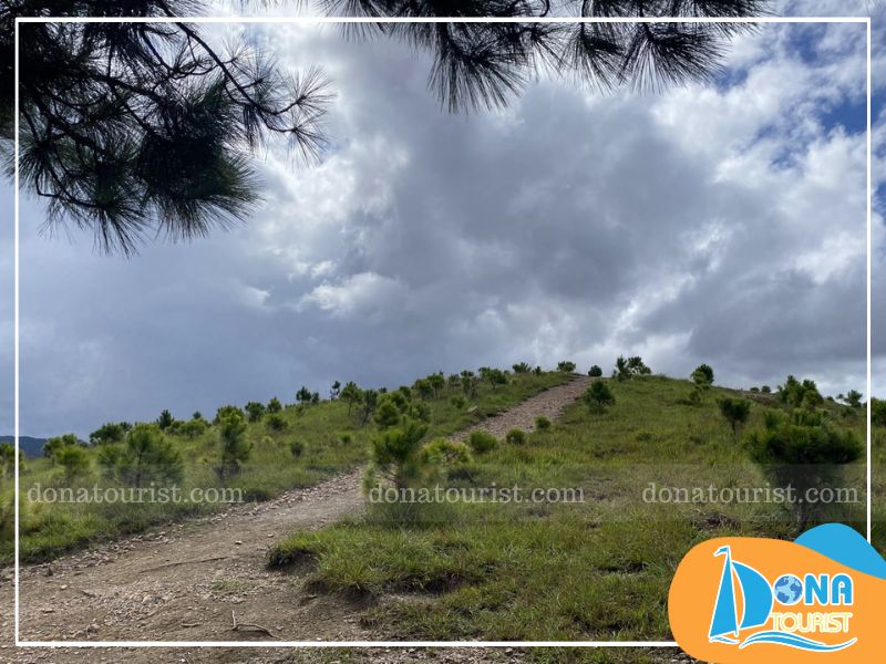 Đường đi đồi Thiên Phúc Đức duong-di-doi-thien-phuc-duc.jpg (108 KB)
