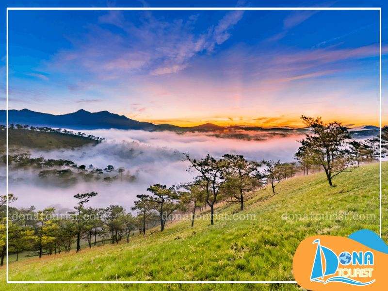 Đà Lạt được thiên nhiên ưu ái ban tặng khí hậu ôn hòa và mát mẻ quanh năm, chào đón du khách vào bất kỳ mùa nào thoi-diem-du-lich-da-lat-2-ngay-1-dem-tu-tuc.jpg (85 KB)