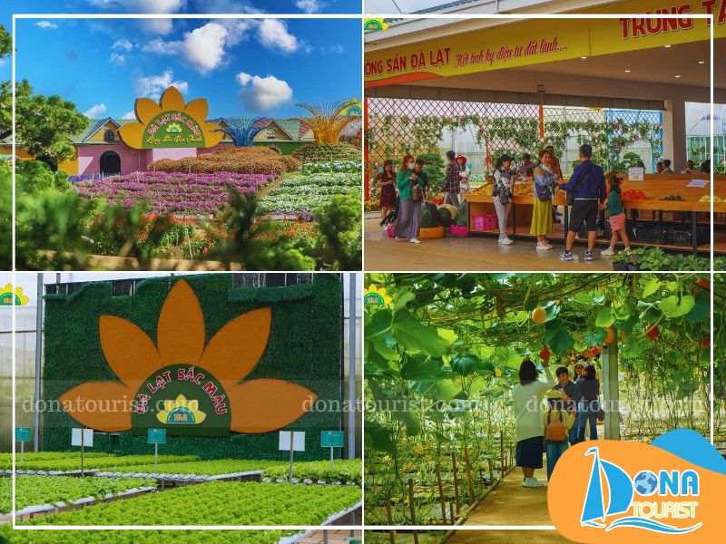 Ngày 1 khám phá những địa điểm trung tâm sôi động lich-trinh-du-lich-da-lat-5-ngay-4-dem-tu-tuc-ngay-1.jpg (87 KB)