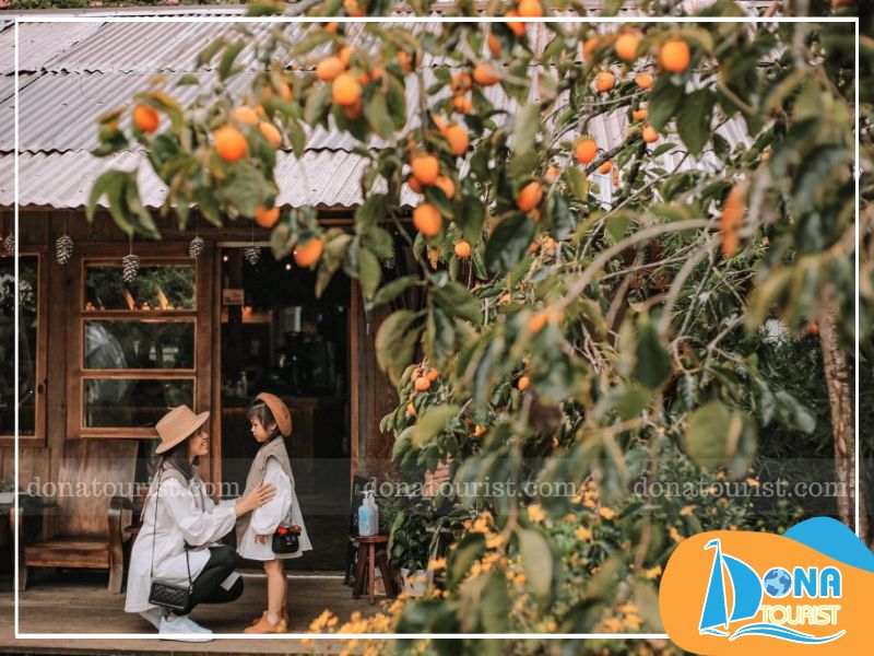 Lịch trình khám phá Đà Lạt 2 ngày 1 đêm du-lich-da-lat-tu-tuc-2-ngay-1-dem.jpg (77 KB)