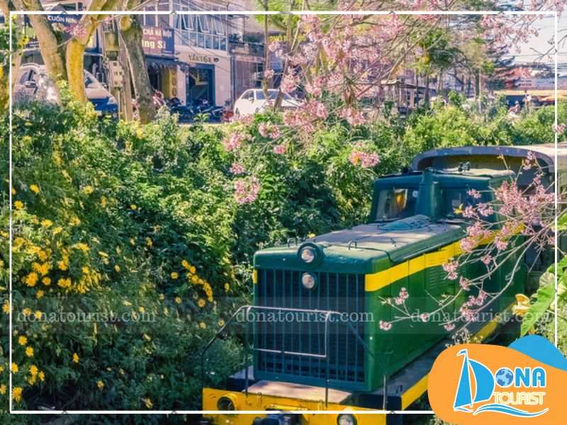 thoi-diem-check-duong-tau-tran-quy-cap.jpg (92 KB)