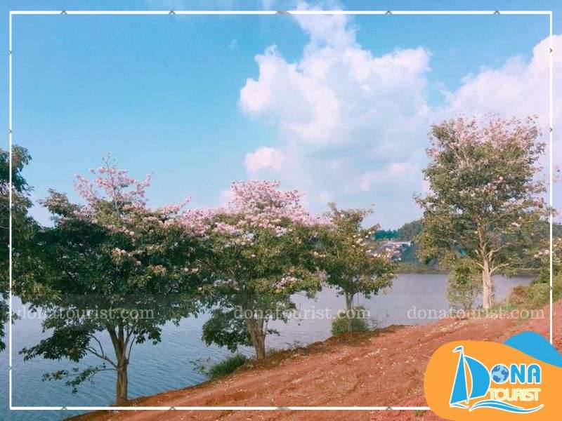 doi-hoa-kem-hong-ho-nam-phuong.jpg (85 KB)