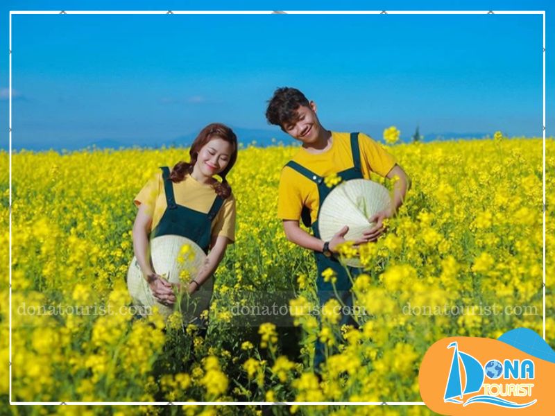 thoi-diem-check-in-mua-hoa-cai-vang-da-lat.jpg (93 KB)