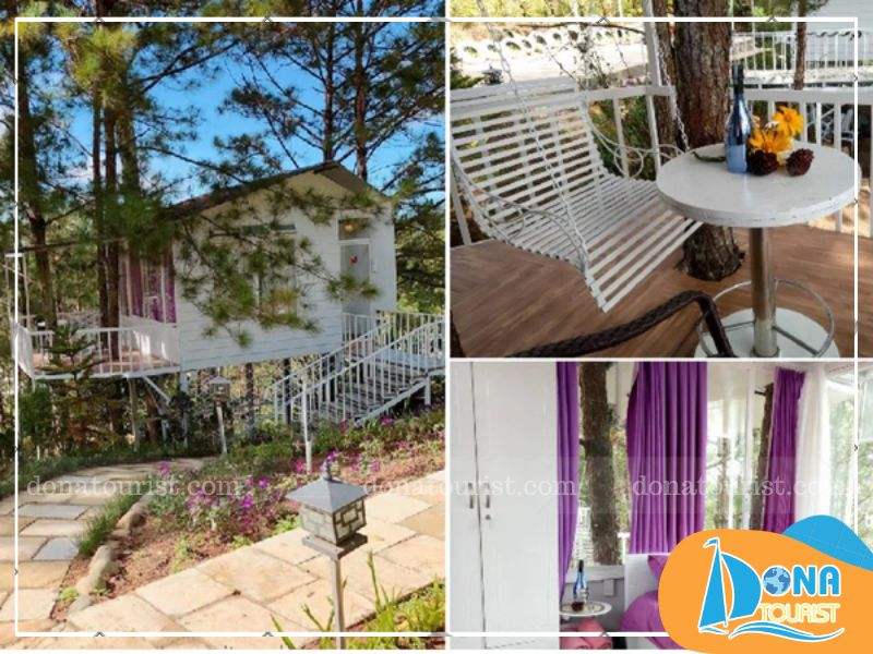 pine-hill-homestay-da-lat-view-rung.jpg (99 KB)