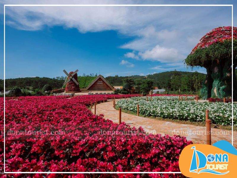 Cánh đồng hoa rực rỡ trải dài bất tận tại Fresh Garden Đà Lạt canh-dong-hoa-kdl-fresh-garden.jpg (99 KB)