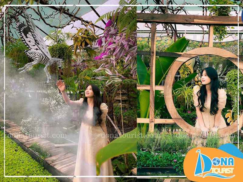 gio-mo-cua-khu-vuon-mo-da-lat.jpg (85 KB)