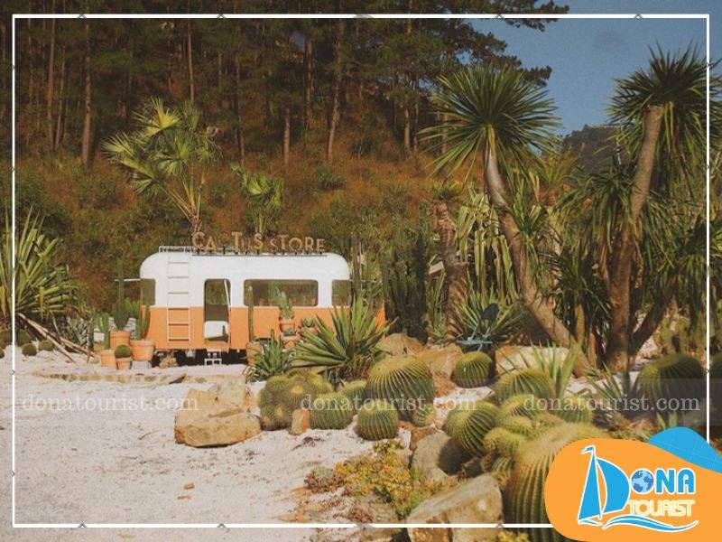 Check-in cực chất tại vương quốc xương rồng Kombi Land check-in-vuong-quoc-xuong-rong-kombi-land-coffee.jpg (96 KB)