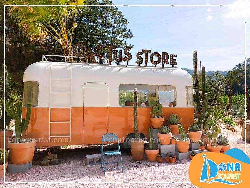 Tham quan và mua xương rồng tại Cactus Store mua-xuong-rong-tai-cactus-store.jpg (104 KB)