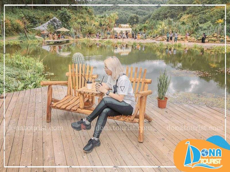 Thưởng thức cà phê giữa thiên đường xương rồng thuong-thuc-ca-phe-kombi-land-coffee.jpg (105 KB)