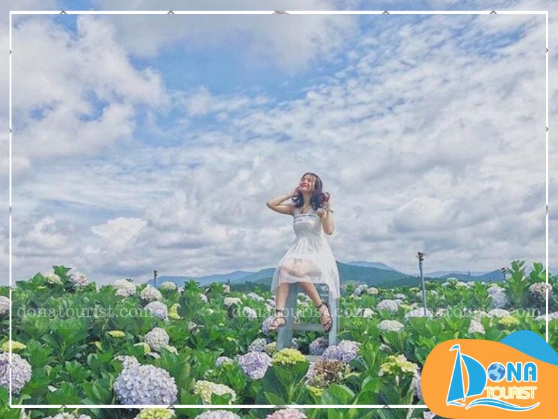 bi-quyet-check-in-mua-hoa-cam-tu-cau-da-lat.jpg (84 KB)