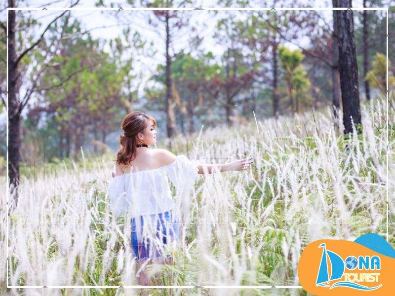 mua-hoa-co-lau-da-lat-cao-dang-su-pham-da-lat.jpg (78 KB)