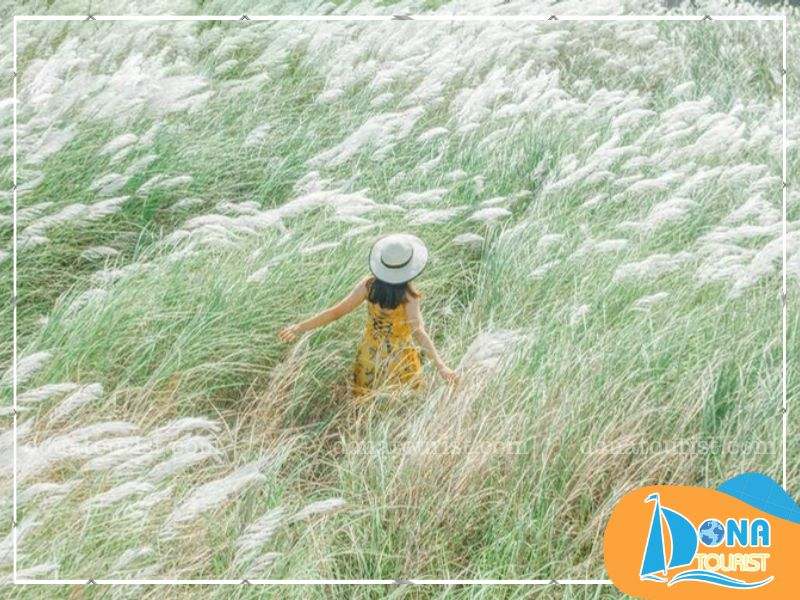 mua-hoa-co-lau-da-lat-ho-tuyen-lam.jpg (96 KB)