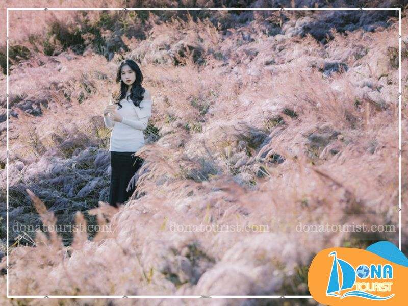 mua-hoa-co-lau-da-lat-phu-dong-thien-vuong.jpg (83 KB)