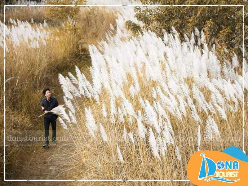 mua-hoa-co-lau-da-lat-thang-may.jpg (73 KB)